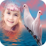 com.om.birdsphotoframe