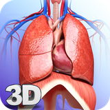 com.visual3dscience.respiratorypro