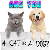 test.cat.dog