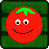 com.FRN.TomatoEscape