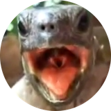 com.blaxtergames.TurtleFX