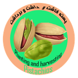 pestochos.parvaresh.any1