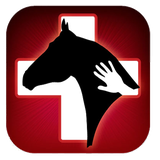 horse.app.vet