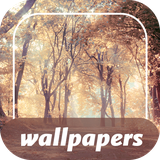 com.epic_free_apps.tree_on_the_screen