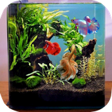 ir.tinasoft.fish_care_at_home