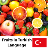 com.muratos.learn_fruits_turkish