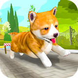 com.satsuma.pet.runner