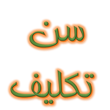 appinventor.ai_amirmohammad_emadi_1384.Adolescent_Sharia