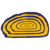 air.net.lol.genioquizpoke