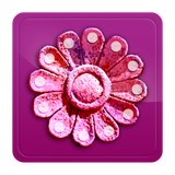 com.hosseinm.persiandc