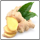 com.puzzley.estaminoofen113110