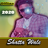 com.devanos.shatta.wale