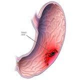 com.htmlApi24novinsoft99.zakhmemede