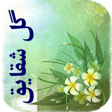 com.imnet.goleshaghayegh