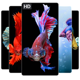wallpaper.free2019.infinity.games360apps.betta.fish.background