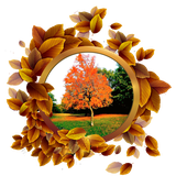 com.NatureFramesPhotoEditornn