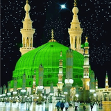 com.pop.tools.lotus.live.wallpaper