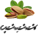 com.peste.azkashtabardasht