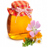 sanjabapp.honey.demo