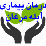 dbamorgan.dbamorgan56