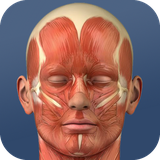 com.lundbrowder_mobile_tabesh_co