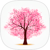 com.tabriknowruz.mehrsoft