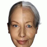 ir.pake.kamele.botax.d