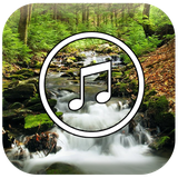 com.zaravanian.naturesound