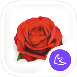 com.apusapps.theme.i_rosa_rugosa_f62f123a69
