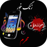 com.appcreater.zangemoharram