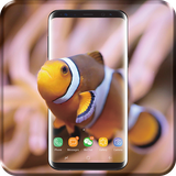 com.wallpaper.sam.tim997.clownfish