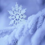 sinsin.zemestan.talebini