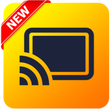 com.heidiki.cast.screenmirroring