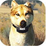 com.wolfquest.wolfquestgame
