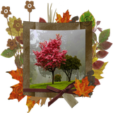 com.AutumnPhotoFramesn