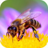 com.andromo.dev230101.app298726