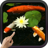 com.mclwp.koifishvideowallpaper