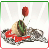 ir.shohadaynooghab.apk