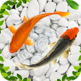 com.koifish.fishwallpaper.livewallpaper.koipond.freeapp