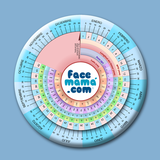 cl.facemama.gestograma