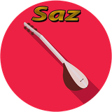 masih.vahida.baglama_electric