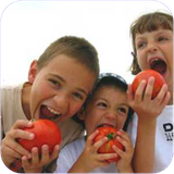 ghahreman.taghzeibachemadrasayei