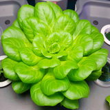 com.newandromo.dev631029.app1063174