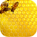 ir.decoders.decodeer