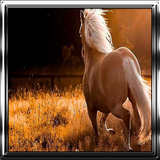 sekandari.appparvaresh.asb