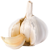 com.JuBat.benefitsofgarlic