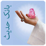 com.aseman.abi.apps.bank.hadis