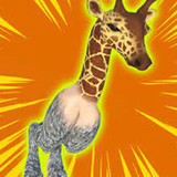 com.wheels.quadrounds