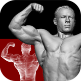 ir.tinasoft.workouts_entire_body