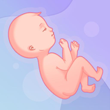 nano.lab.app.pregnancy2
